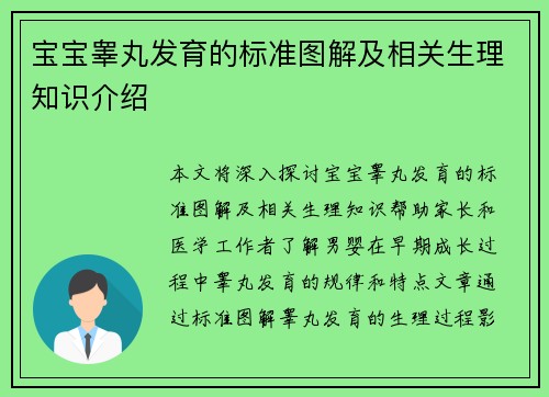宝宝睾丸发育的标准图解及相关生理知识介绍